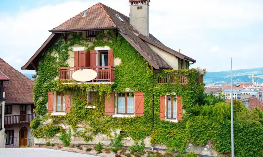 Klagenfurt Compact Green Homes for Urban Living