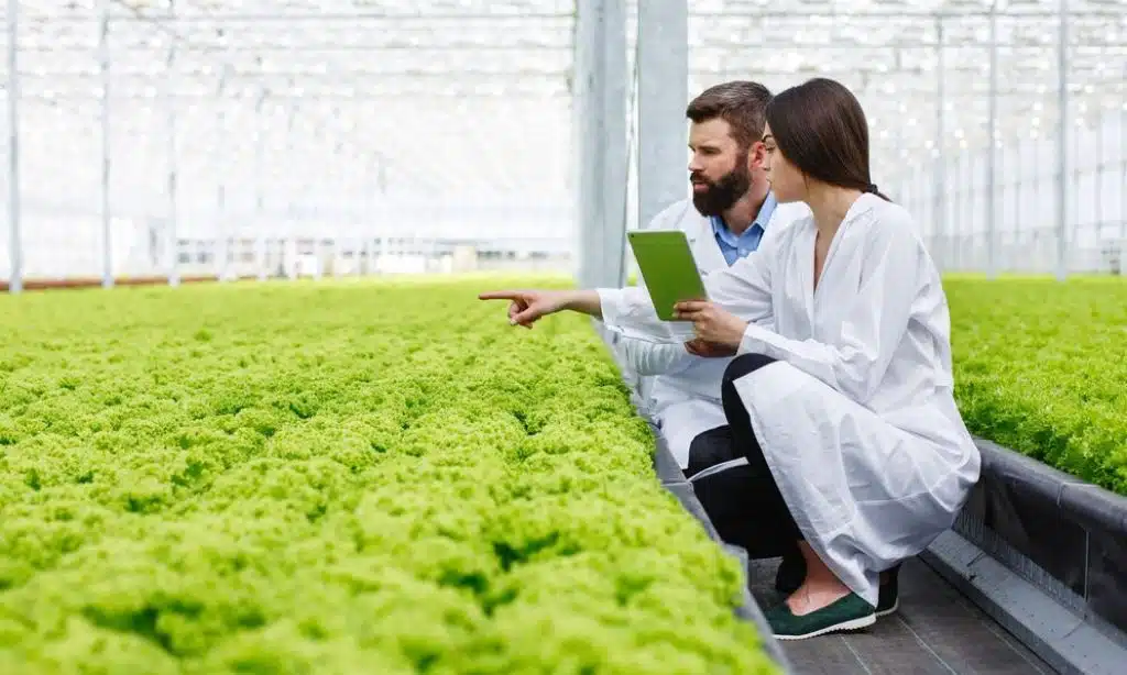 Opportunities for Vertical Farming in Australia