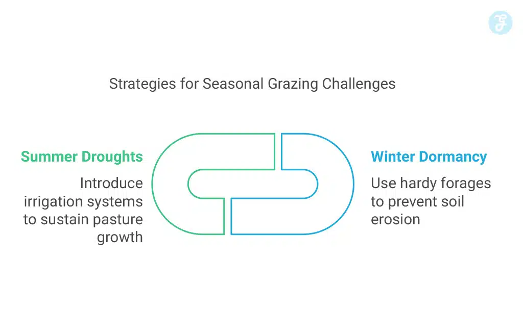 Plan for Seasonal Challenges