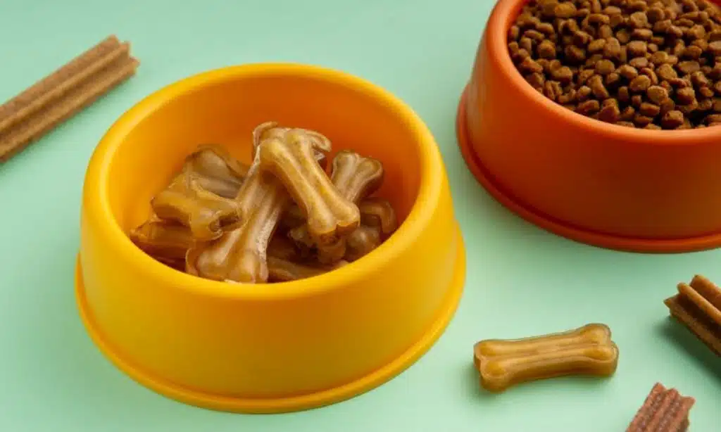 Recycled Plastic Pet Bowls