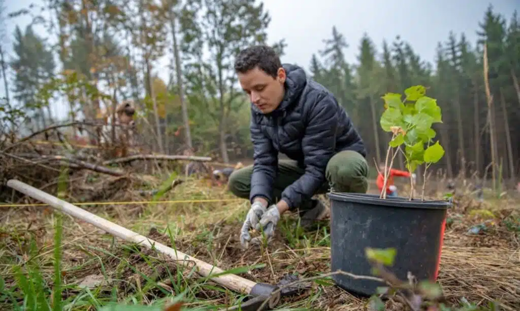 Reforestation and Agroforestry