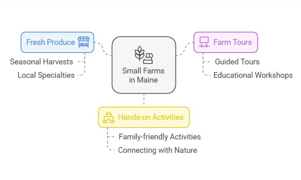 Small Farms in Maine