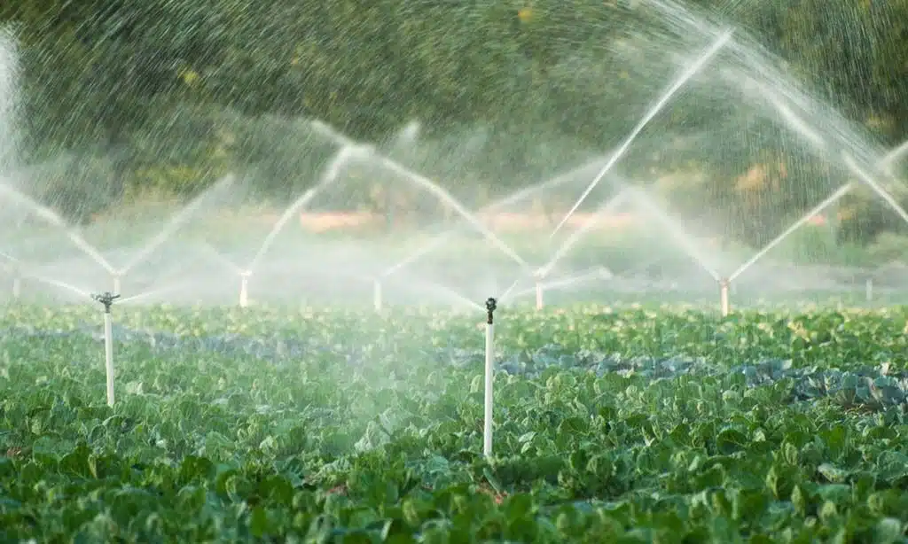 Smart Irrigation Systems