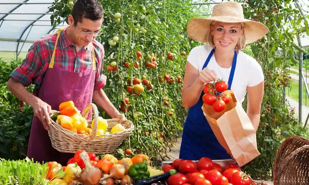 Source Local and Seasonal Ingredients