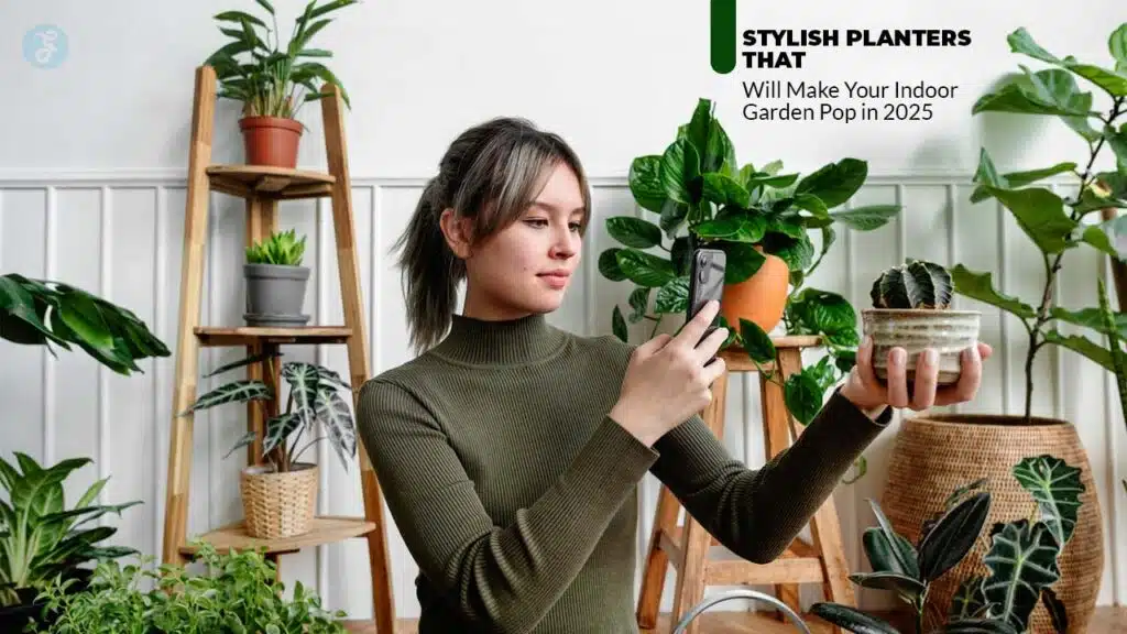 Stylish Planters for Indoor Gardens