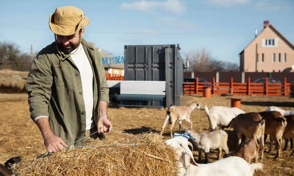 Sustainable Livestock Management