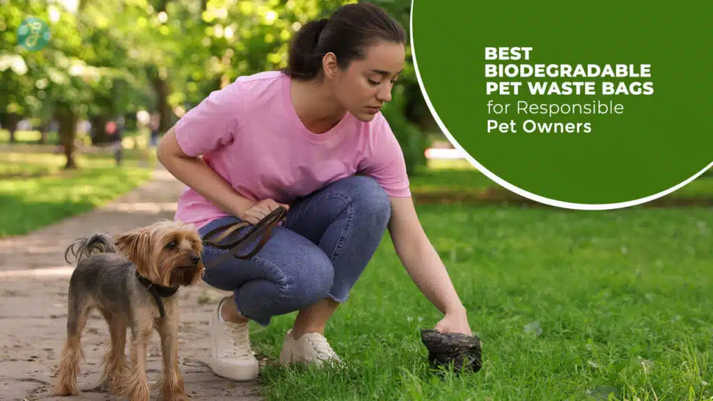 Best Biodegradable Pet Waste Bags
