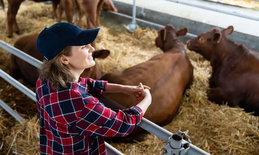 The Entrepreneur: Carving a Niche