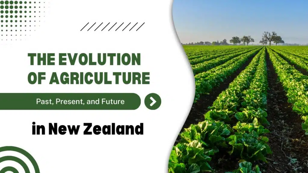 The Evolution of Agriculture in New Zealand