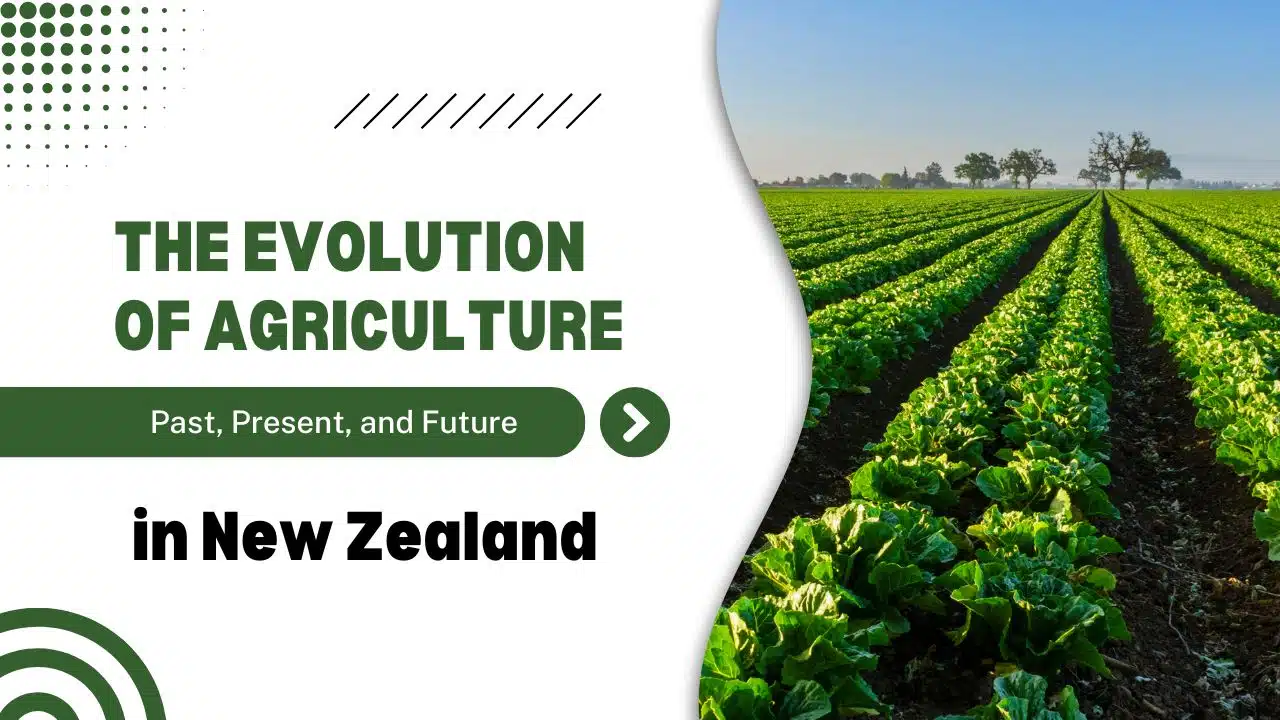 The Evolution of Agriculture in New Zealand