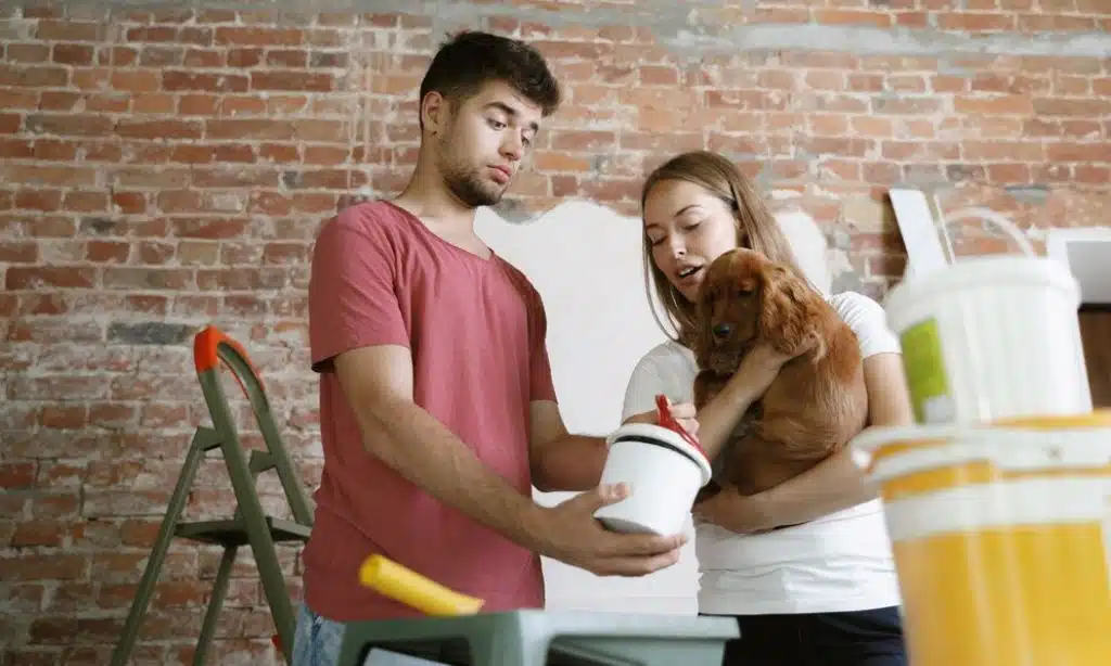 Tips for Maintaining Eco-Friendly Pet Gear