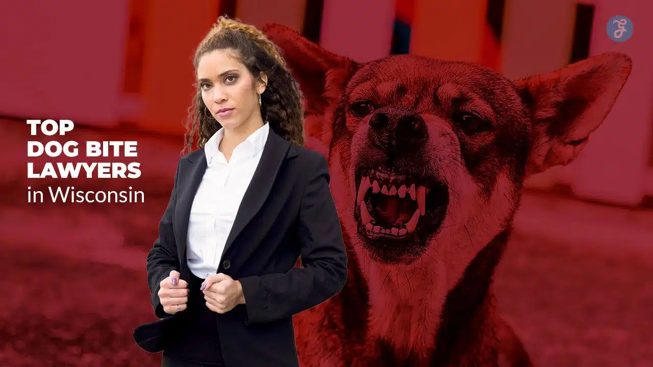 Dog Bite Lawyers in Wisconsin