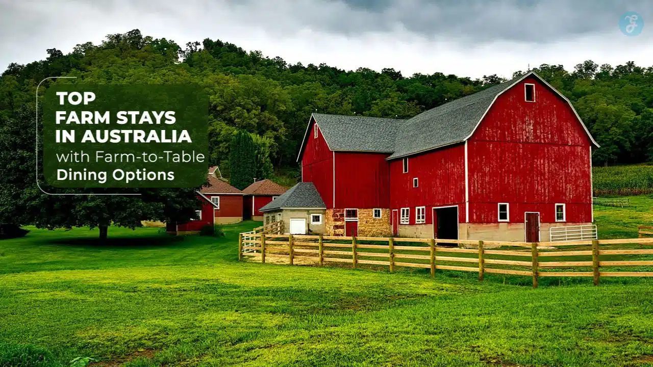 Farm Stays in Australia with Farm-to-Table Dining