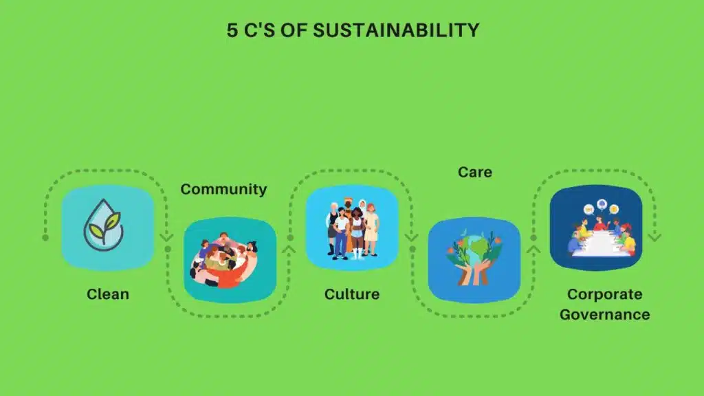 What are the 5 C's of Sustainability