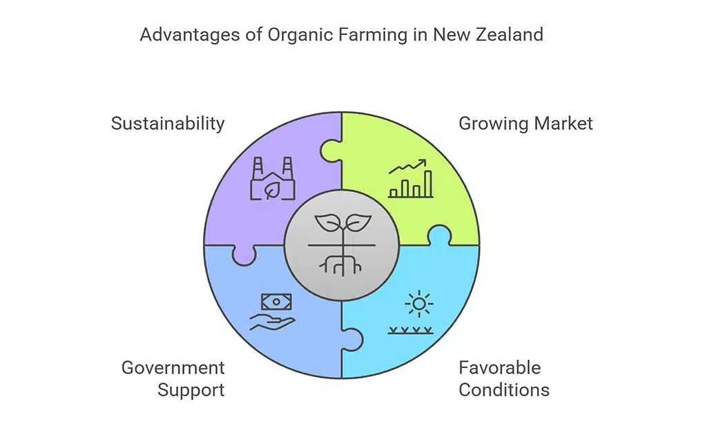 Why Choose Organic Farming in New Zealand