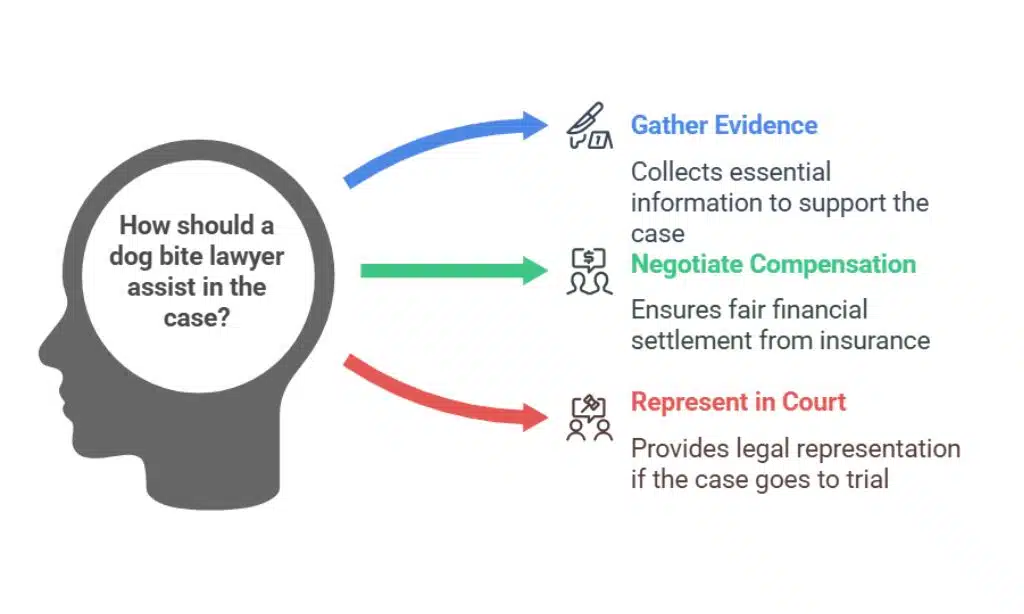 Why You Need a Dog Bite Lawyer in Nebraska