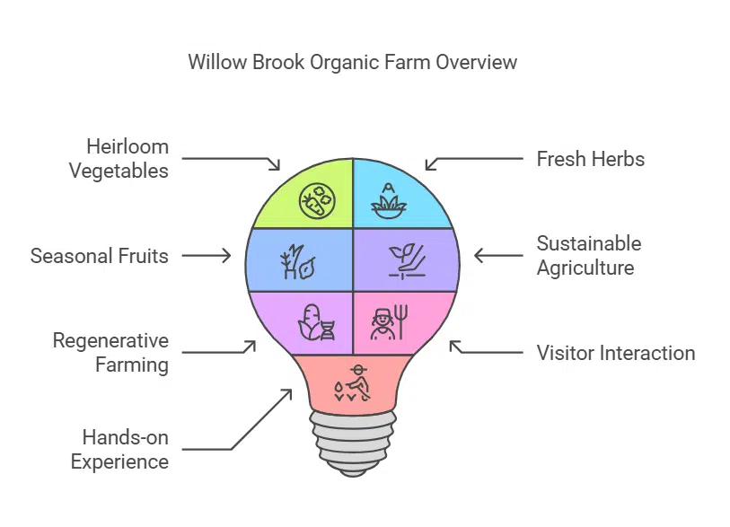 Willow Brook Organic Farm