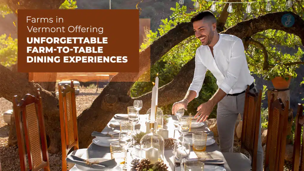 Farms in Vermont Offering Unforgettable Farm-to-Table Dining Experiences