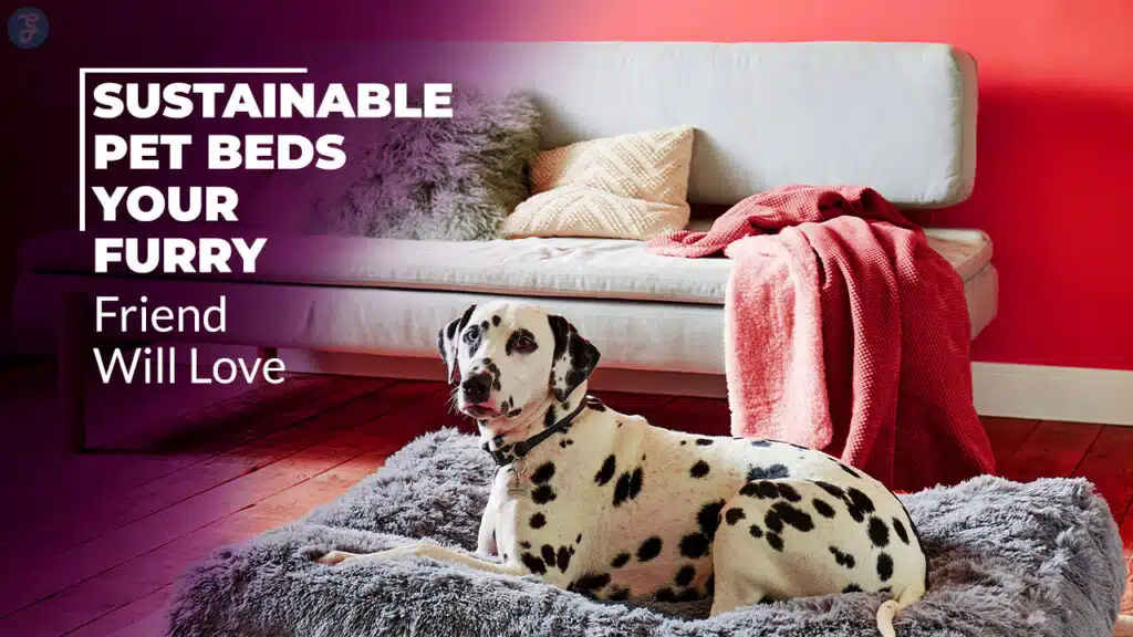 Sustainable Pet Beds