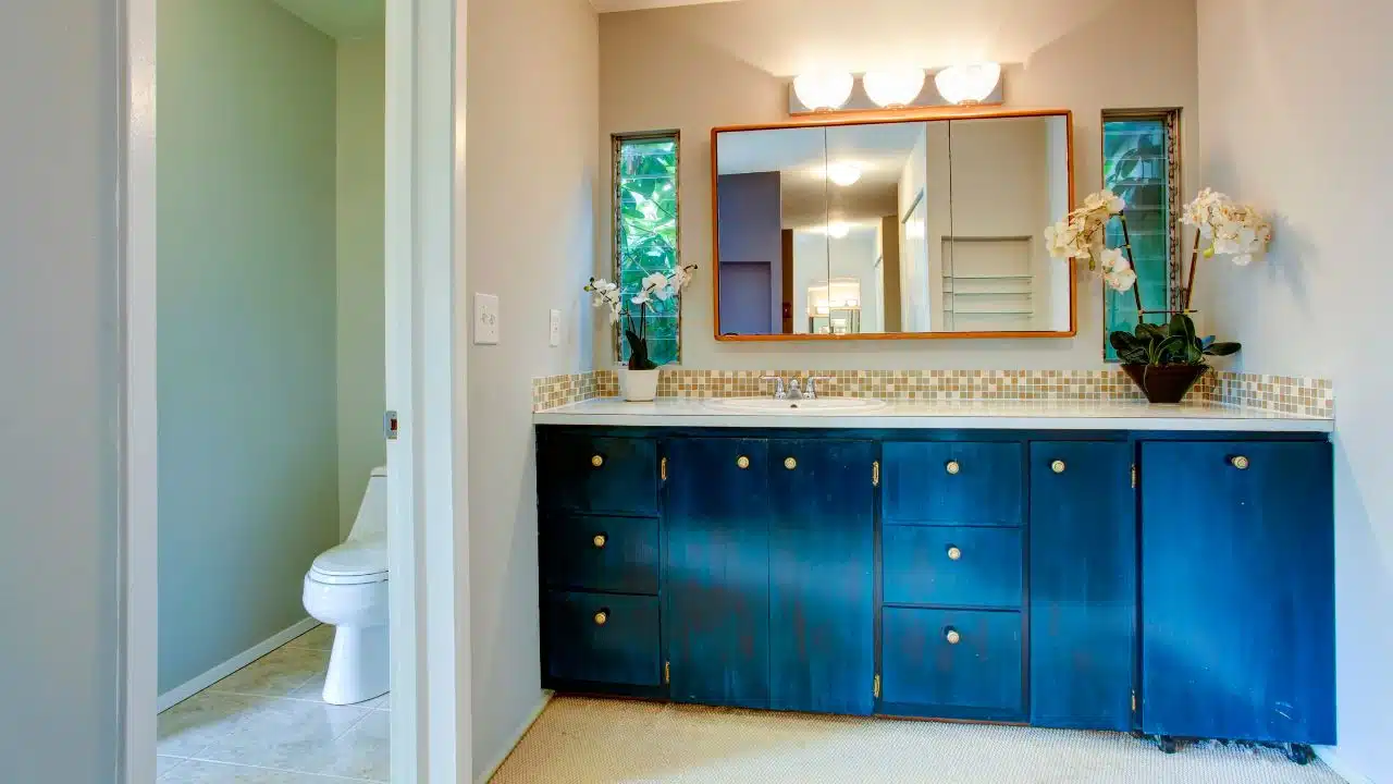 Bathroom Vanity Cabinets