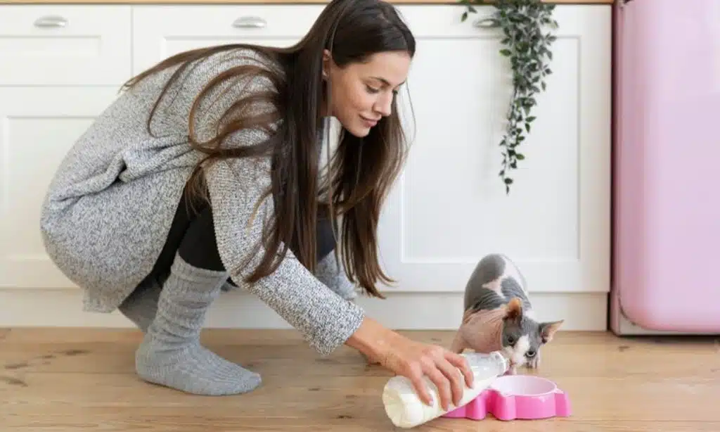 Best Natural Pet Stain & Odor Remover