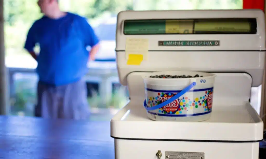 Cost Efficiency and Waste Reduction