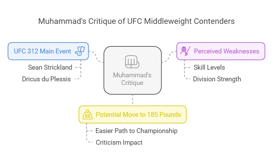Critique of Middleweight Contenders