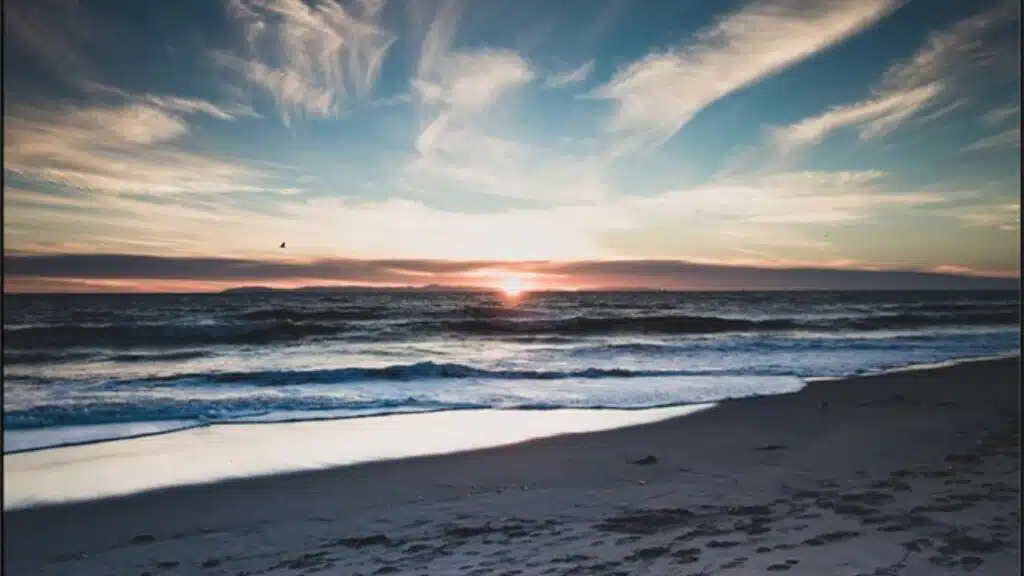 Enjoy Your Vacation in California as a Local