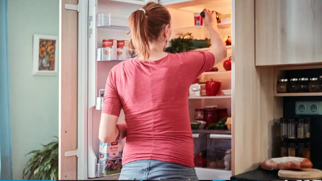 Fridge on Rent in Bangalore