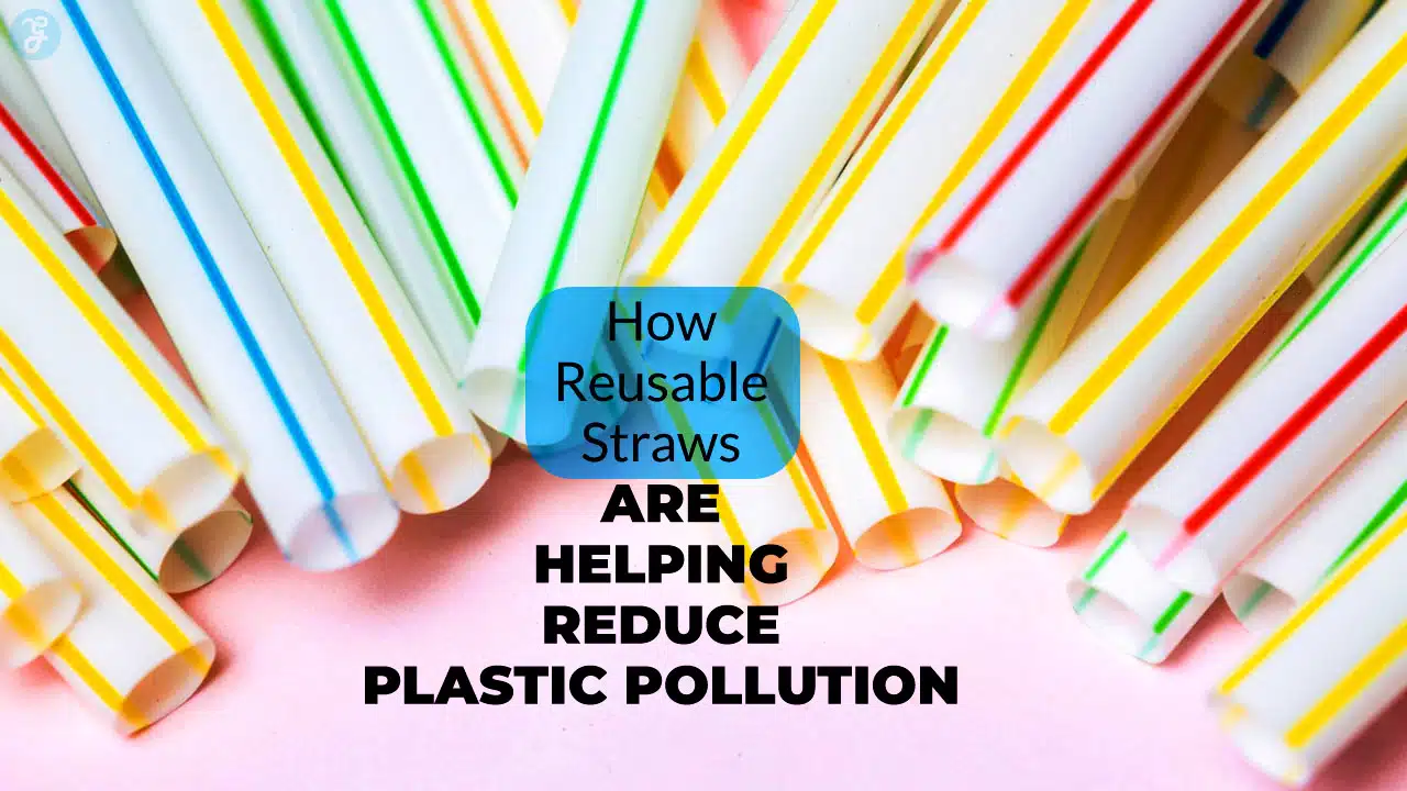How Reusable Straws Are Helping Reduce Plastic Pollution