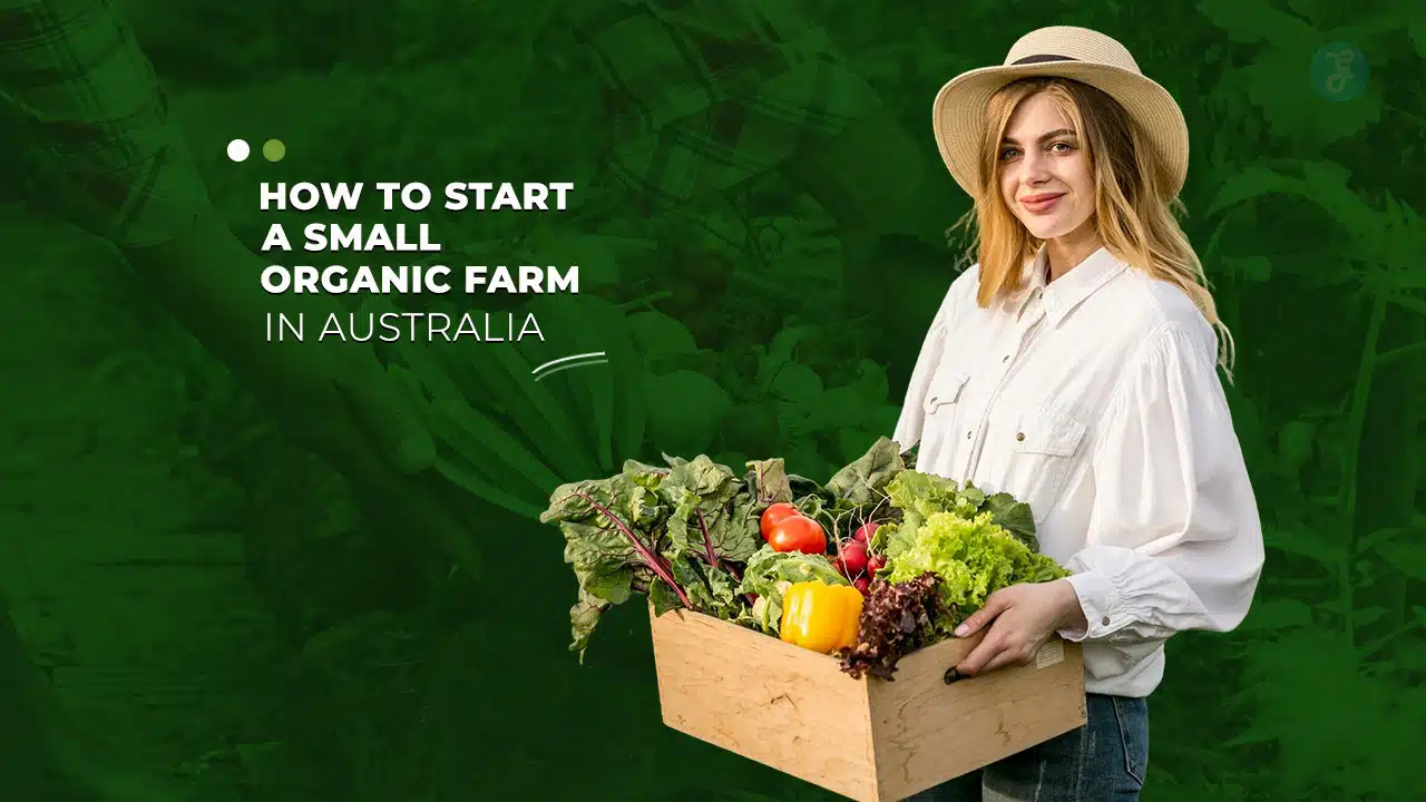 How to Start a Small Organic Farm in Australia