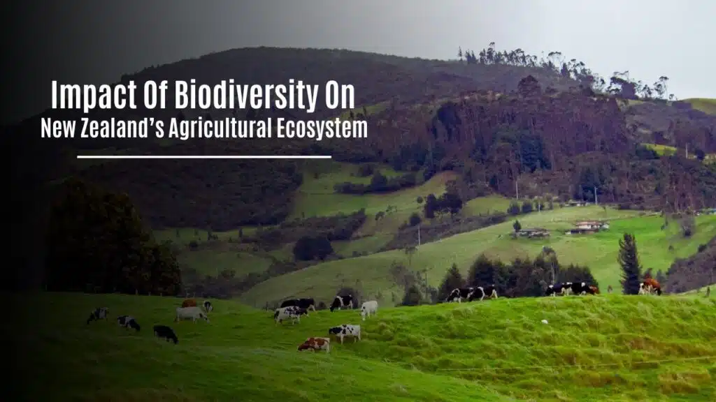 Impact Of Biodiversity On New Zealand’s Agricultural Ecosystem