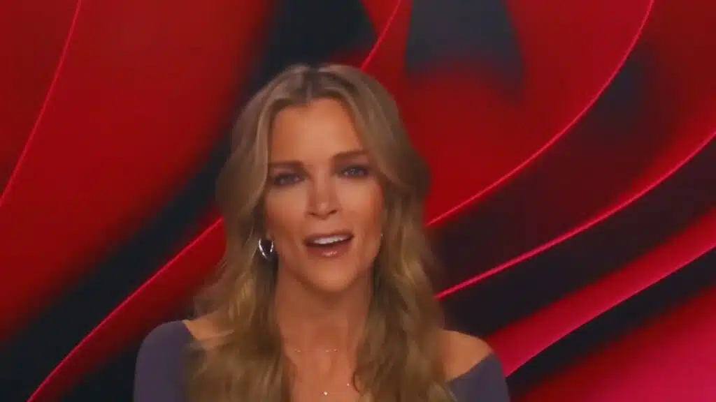 Megyn Kelly Slams Ashley St. Clair Over Musk Baby Claims