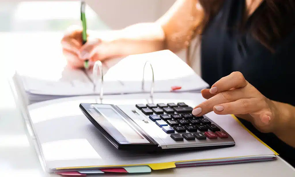 Professional Services and Consultancy Fees