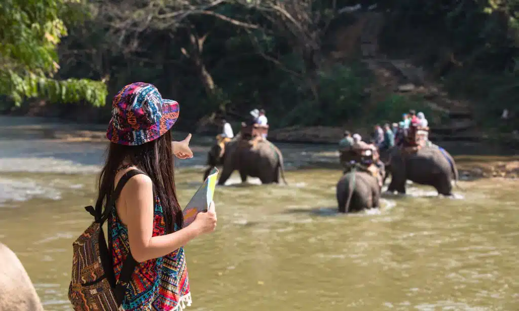 Sri Lanka Spot Elephants and Leopards on a Budget