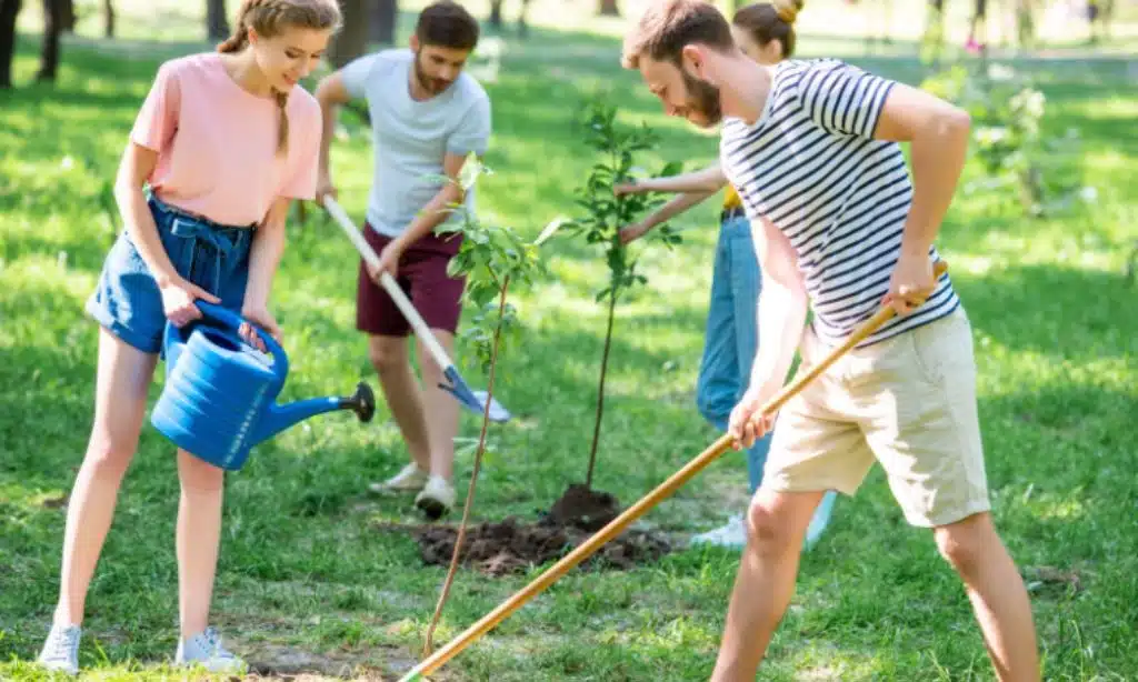 Steps to Successfully Implement Native Tree Planting Programs