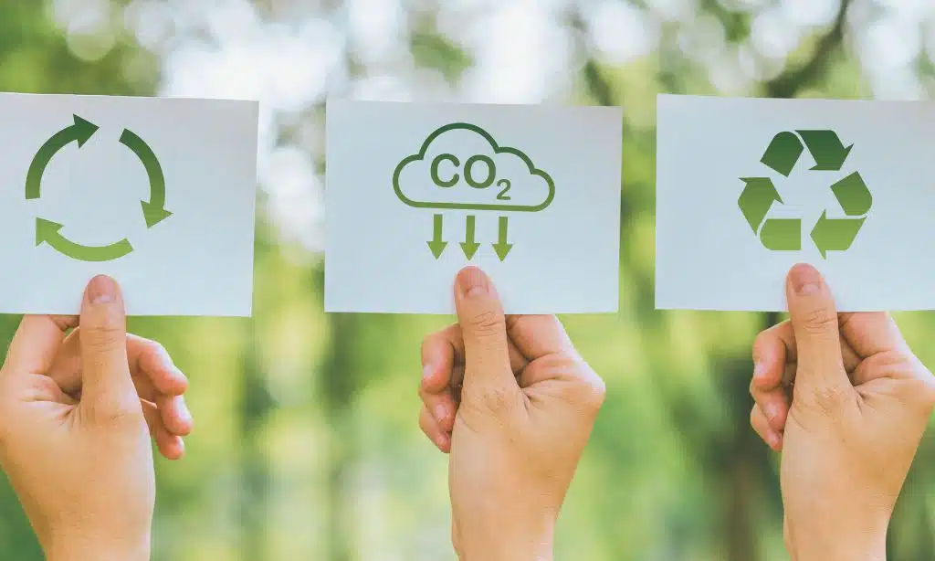 Sustainable Development in Urban and Rural Areas