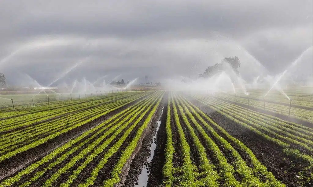 Sustainable Water and Resource Management