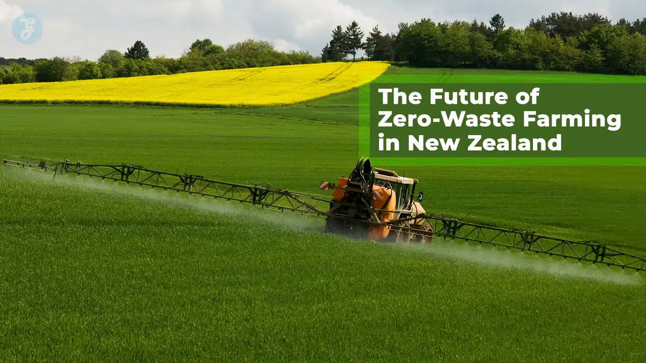 Future of Zero-Waste Farming in New Zealand