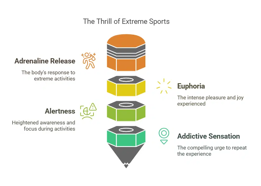 The Rush of Adrenaline