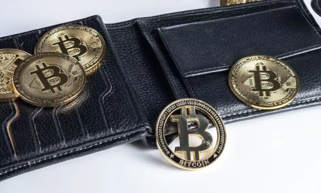 Top 10 Crypto Wallets for Beginners