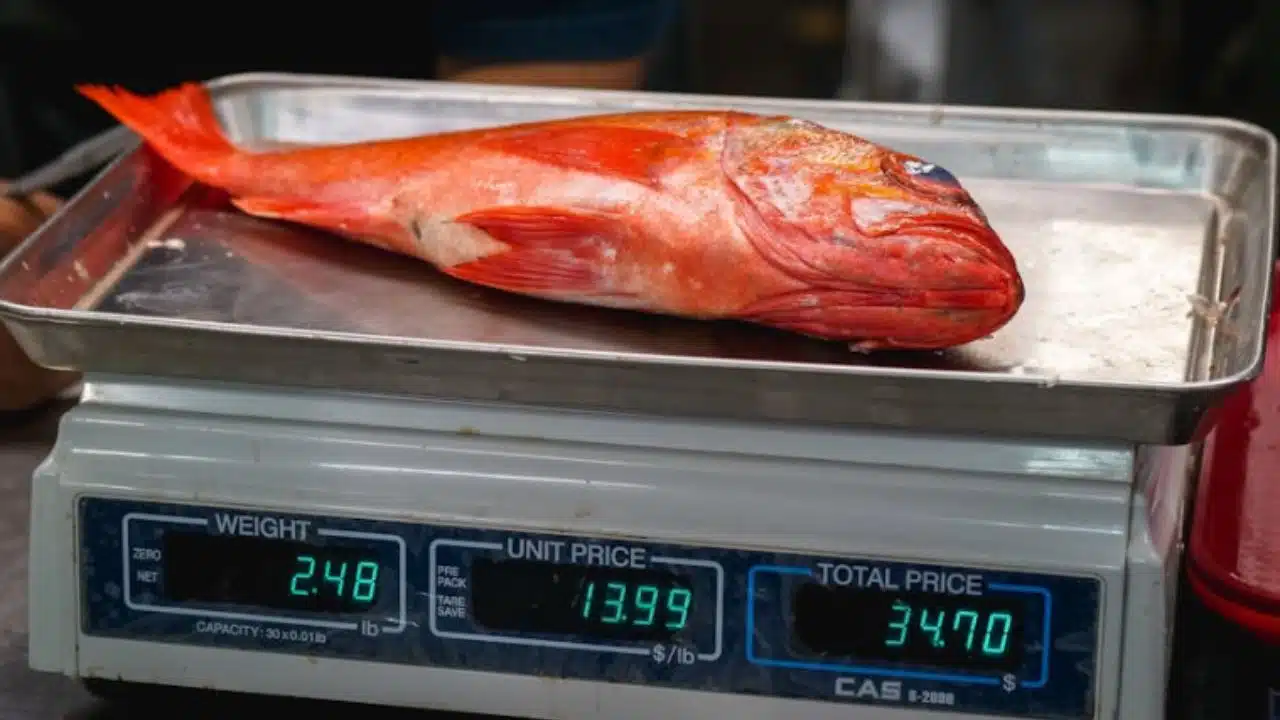 importance of accurate weighing