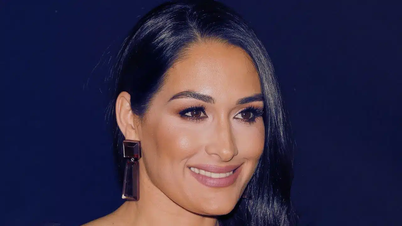 nikki garcia wants wise man after divorce