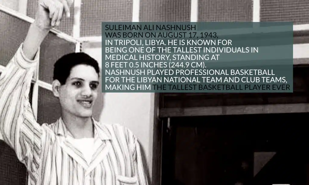 suleiman ali nashnush bio