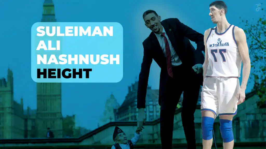suleiman ali nashnush height