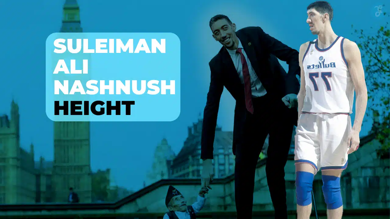 suleiman ali nashnush height