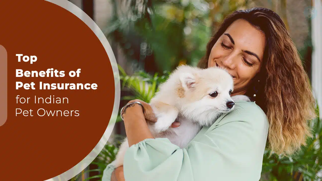 Benefits of Pet Insurance for Indian Pet Owners