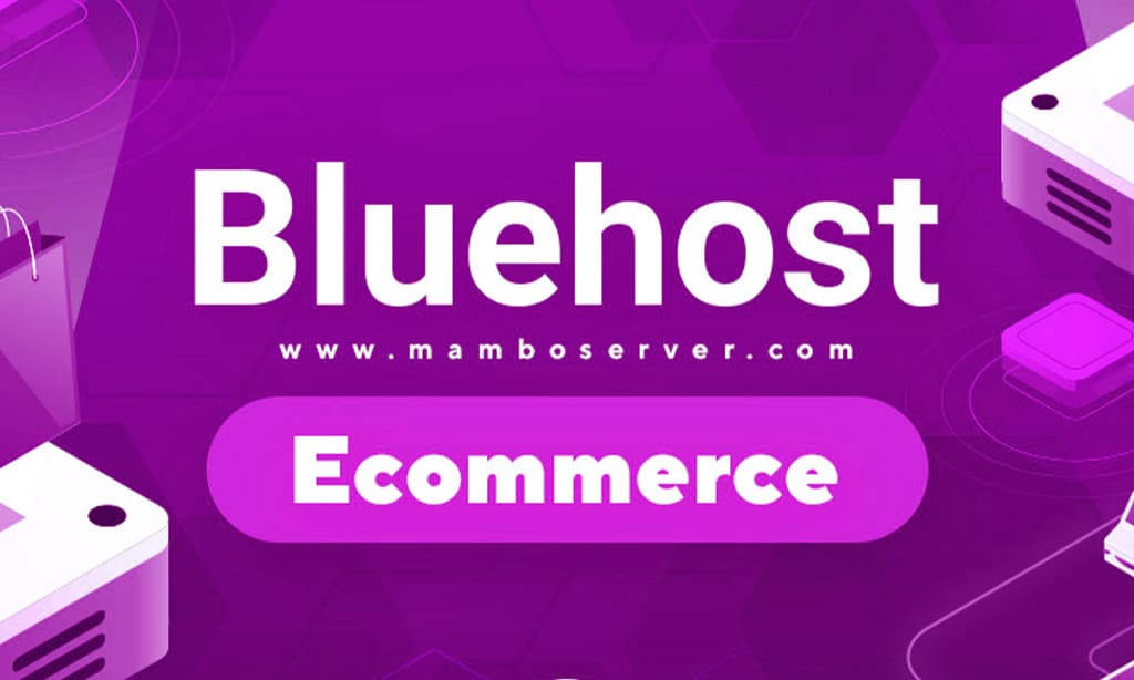 Bluehost – Best for Business & E-Commerce Hosting