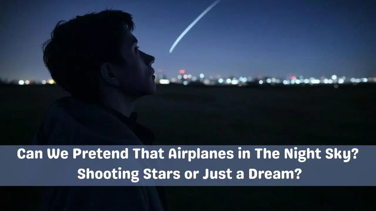 Can We Pretend That Airplanes in The Night Sky Meme