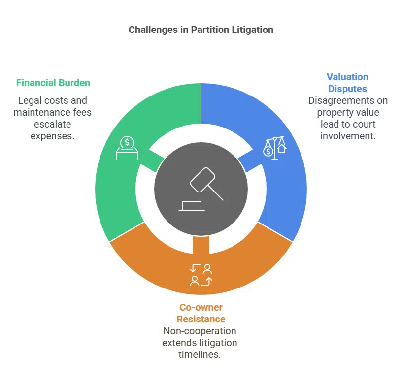 Challenges in partition litigation